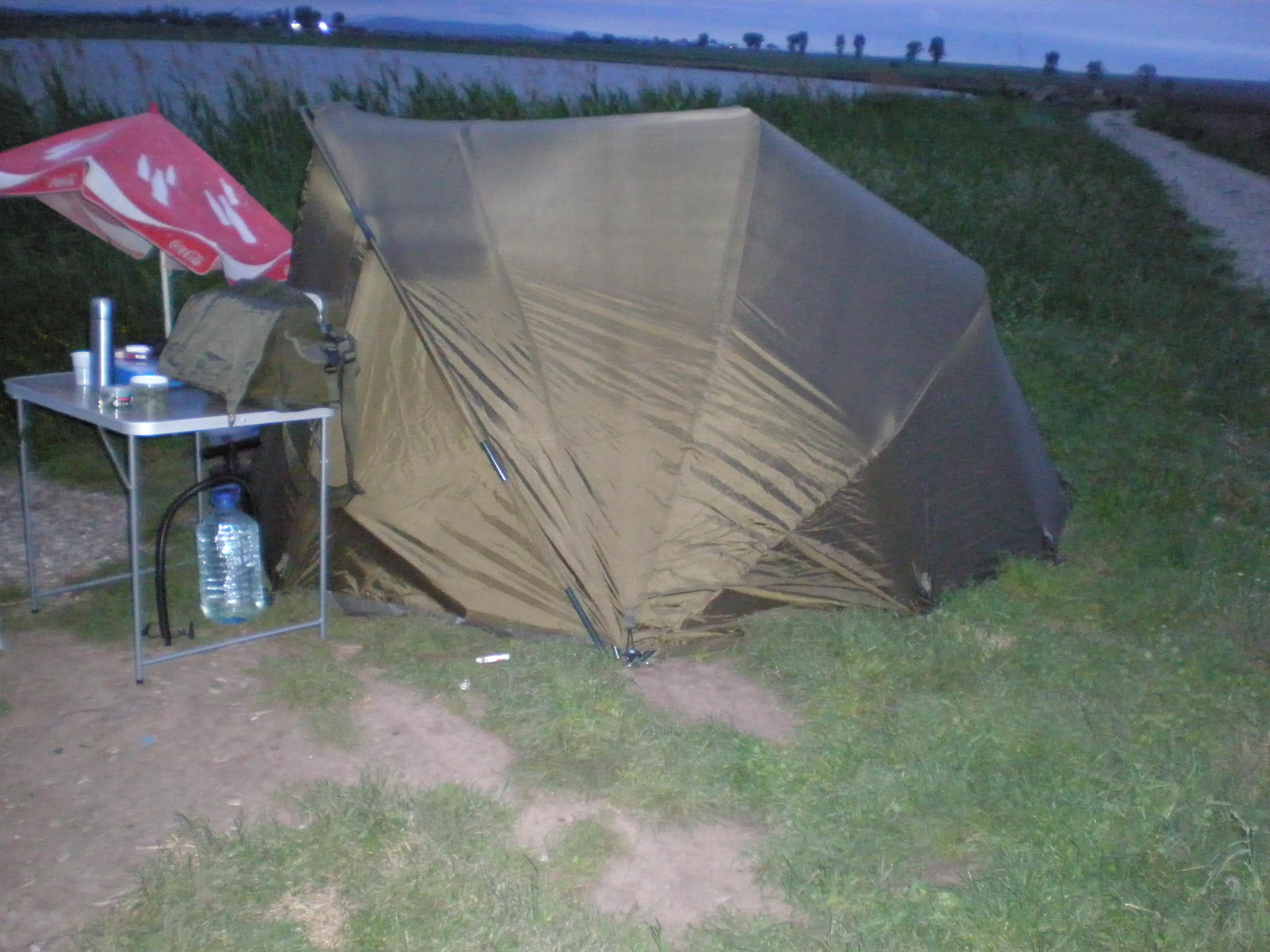 ccarp - P5190225.JPG